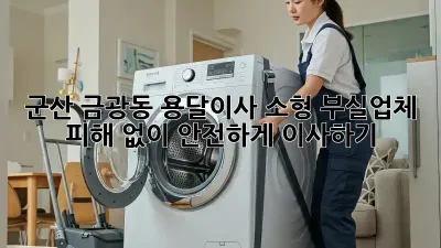 군산 금광동 용달이사 소형: 부실업체 피해 없이 안전하게 이사하기