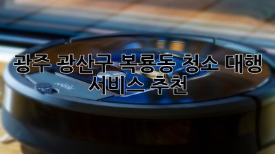 광주 광산구 복룡동 청소 대행 서비스 추천